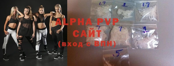 стаф Аркадак