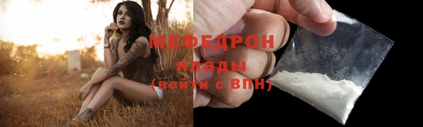 индика Ростов