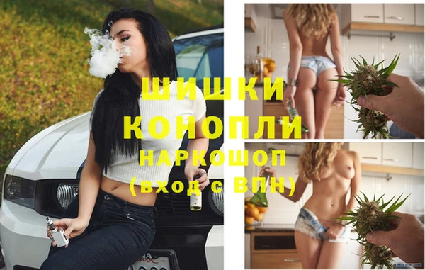 стаф Аркадак
