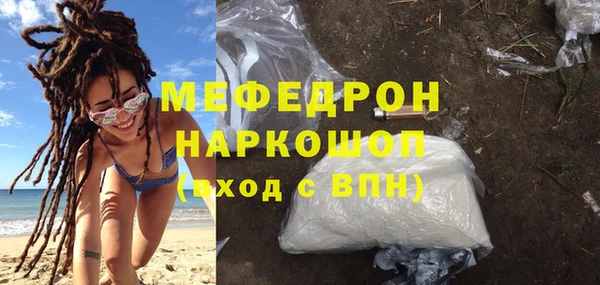 стаф Аркадак