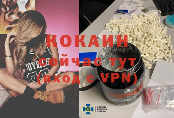 индика Ростов