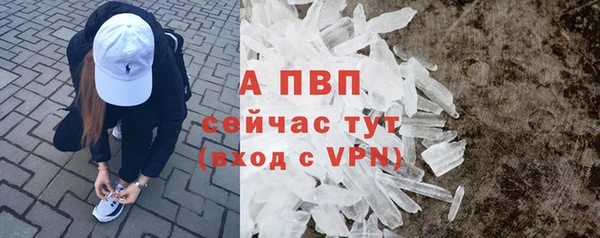 стаф Аркадак