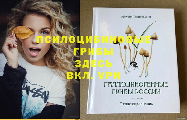 стаф Аркадак