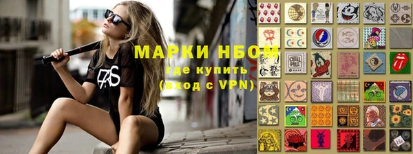 стаф Аркадак
