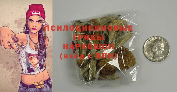 стаф Аркадак