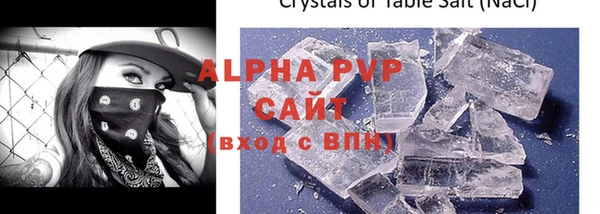 стаф Аркадак