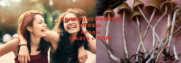 PSILOCYBIN Армянск
