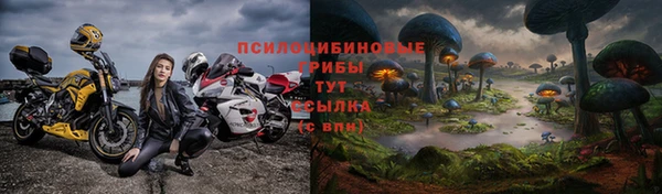 ALPHA-PVP Арсеньев