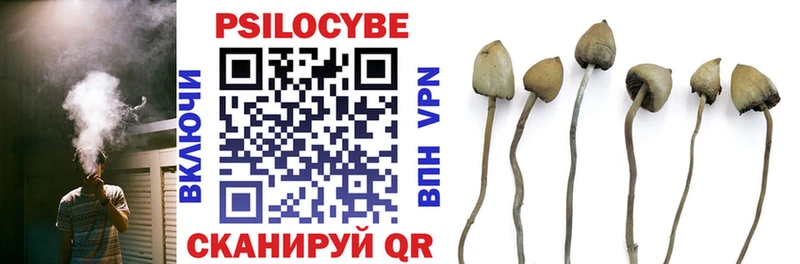 как найти закладки  Пугачёв  Галлюциногенные грибы Magic Shrooms 